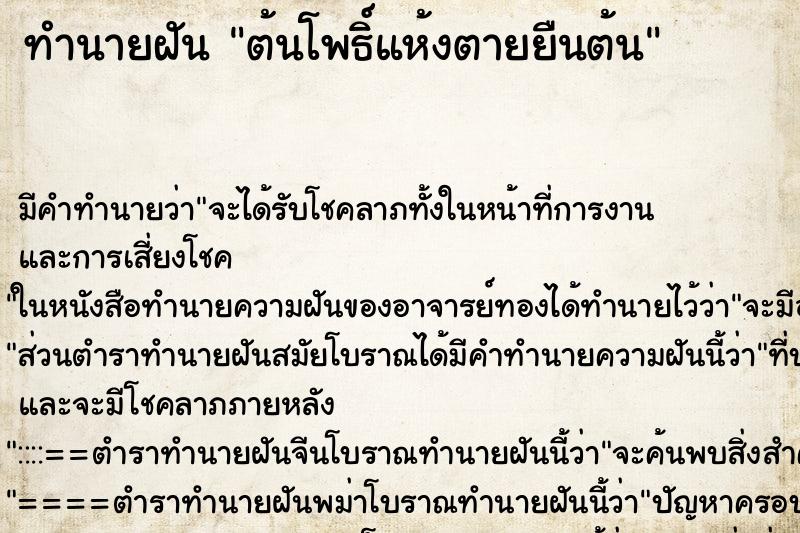 ทำนายฝัน ต้นโพธิ์แห้งตายยืนต้น ทำนายฝัน ต้นโพธิ์แห้งตายยืนต้น