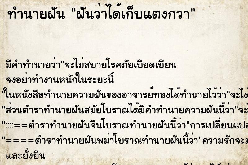 ทำนายฝัน ฝันว่าได้เก็บแตงกวา ทำนายฝัน ฝันว่าได้เก็บแตงกวา