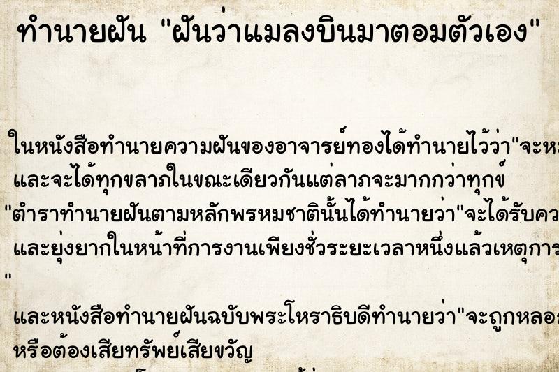 ทำนายฝันทำนายฝันฝันว่าแมลงบินมาตอมตัวเอง