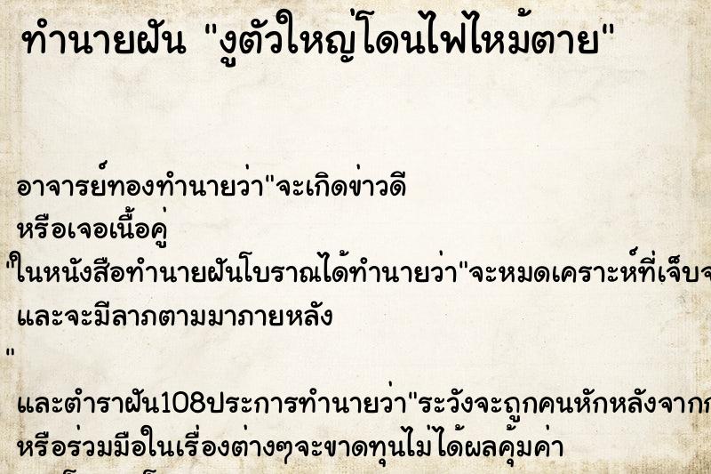 ทำนายฝัน งูตัวใหญ่โดนไฟไหม้ตาย