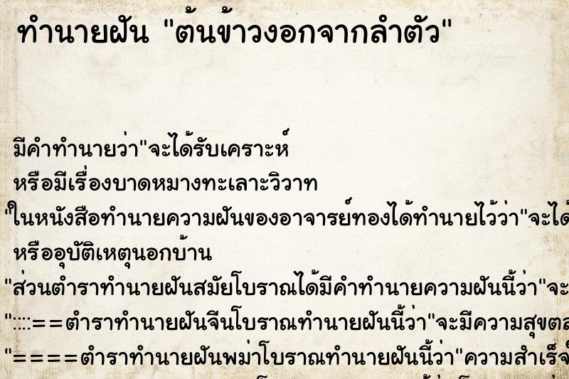 ทำนายฝันต้นข้าวงอกจากลำตัว ทำนายฝันทำนายฝันต้นข้าวงอกจากลำตัว