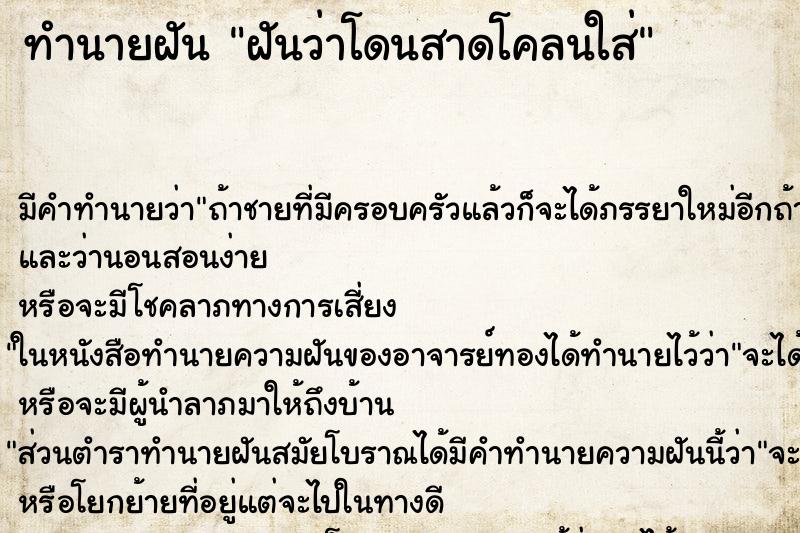 ทำนายฝัน ฝันว่าโดนสาดโคลนใส่ ทำนายฝัน ฝันว่าโดนสาดโคลนใส่