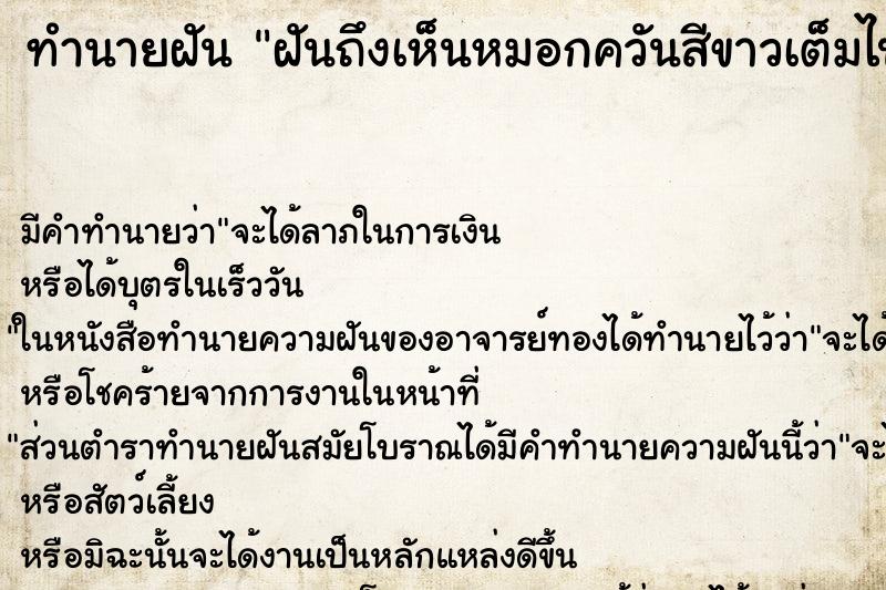 ทำนายฝันทำนายฝันฝันถึงเห็นหมอกควันสีขาวเต็มไปหมด