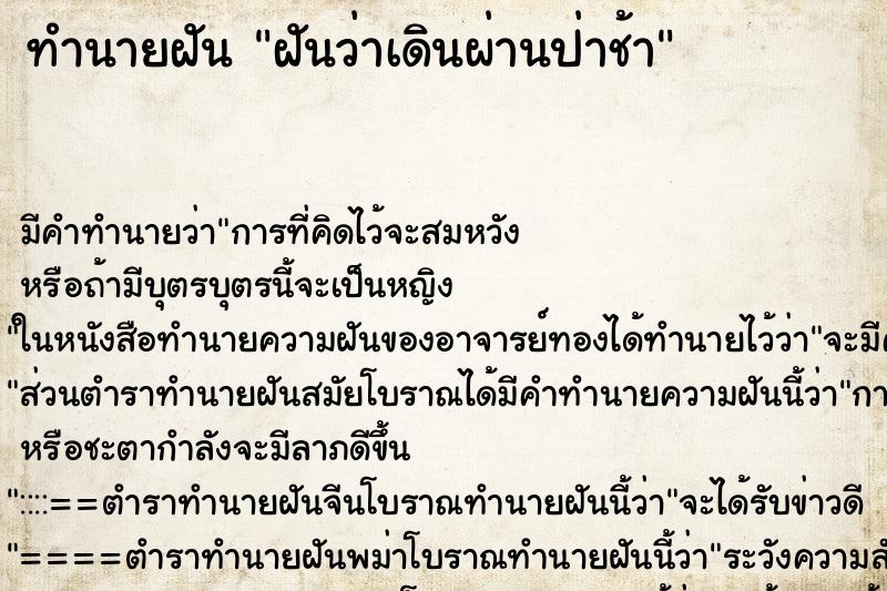 ทำนายฝัน ฝันว่าเดินผ่านป่าช้า ทำนายฝัน ฝันว่าเดินผ่านป่าช้า