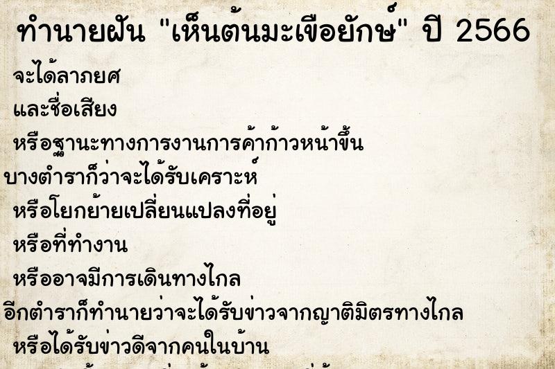 ทำนายฝันเห็นต้นมะเขือยักษ์ ทำนายฝันทำนายฝันเห็นต้นมะเขือยักษ์