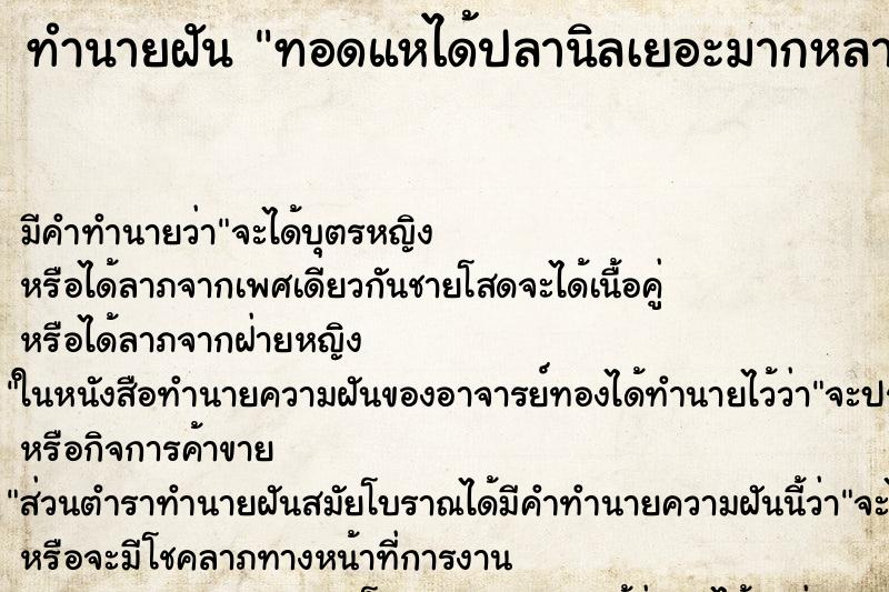 ทำนายฝัน ทอดแหได้ปลานิลเยอะมากหลายตัว ทำนายฝัน ทอดแหได้ปลานิลเยอะมากหลายตัว
