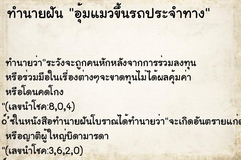 ทำนายฝันอุ้มแมวขึ้นรถประจำทาง ทำนายฝันทำนายฝันอุ้มแมวขึ้นรถประจำทาง