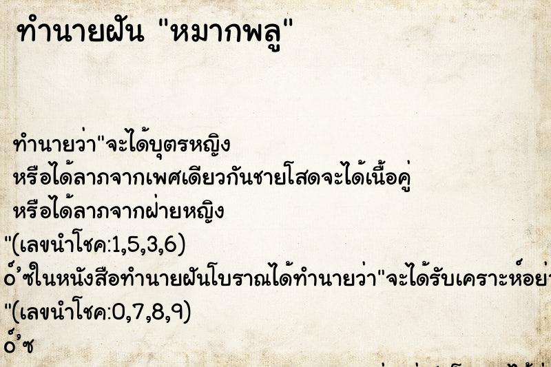 ทำนายฝัน หมากพลู ทำนายฝัน หมากพลู
