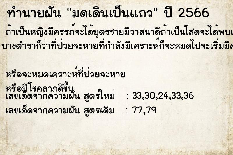 ทำนายฝัน มดเดินเป็นแถว ตำราโบราณ แม่นที่สุดในโลก