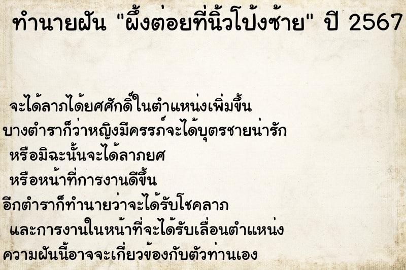 ทำนายฝัน ผึ้งต่อยที่นิ้วโป้งซ้าย ทำนายฝัน ผึ้งต่อยที่นิ้วโป้งซ้าย