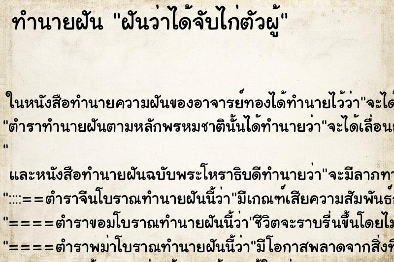 ทำนายฝันฝันว่าได้จับไก่ตัวผู้ ทำนายฝันทำนายฝันฝันว่าได้จับไก่ตัวผู้