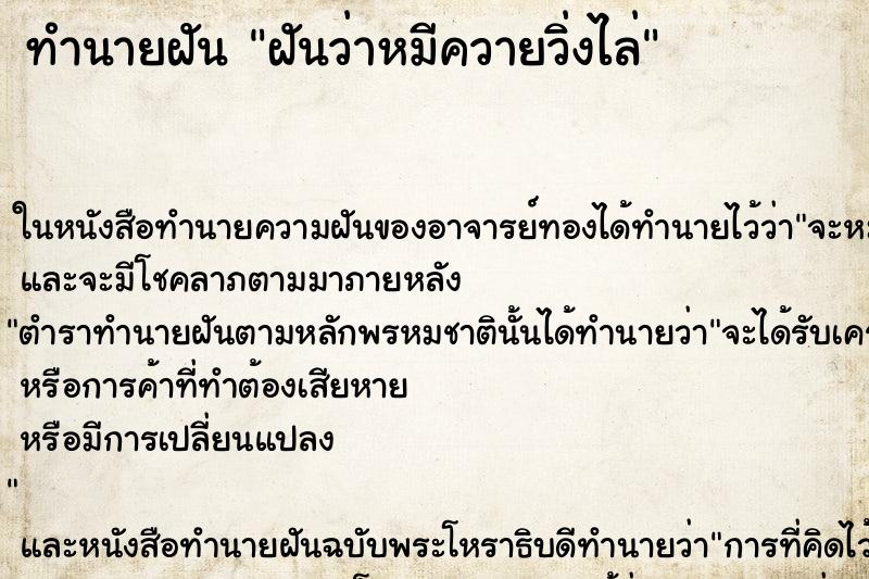 ทำนายฝัน ฝันว่าหมีควายวิ่งไล่ ทำนายฝัน ฝันว่าหมีควายวิ่งไล่