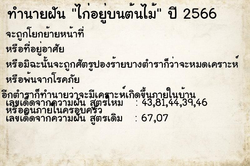 ทำนายฝันไก่อยู่บนต้นไม้ ทำนายฝันทำนายฝันไก่อยู่บนต้นไม้