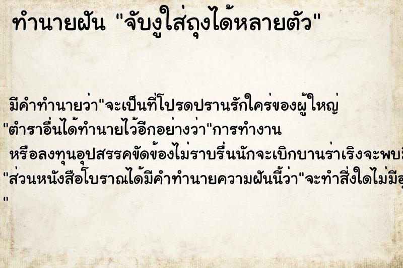 ทำนายฝันทำนายฝันจับงูใส่ถุงได้หลายตัว