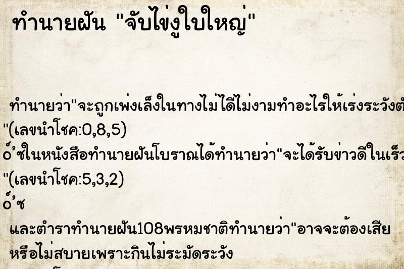 ทำนายฝันทำนายฝันจับไข่งูใบใหญ่
