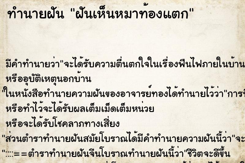 ทำนายฝันทำนายฝันฝันเห็นหมาท้องแตก