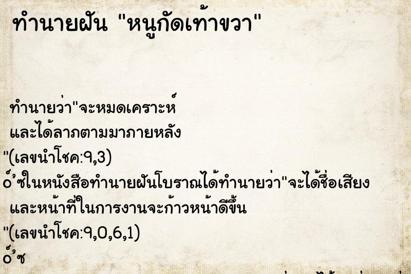 ทำนายฝัน หนูกัดเท้าขวา ทำนายฝัน หนูกัดเท้าขวา