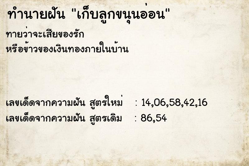 ทำนายฝัน เก็บลูกขนุนอ่อน ทำนายฝัน เก็บลูกขนุนอ่อน