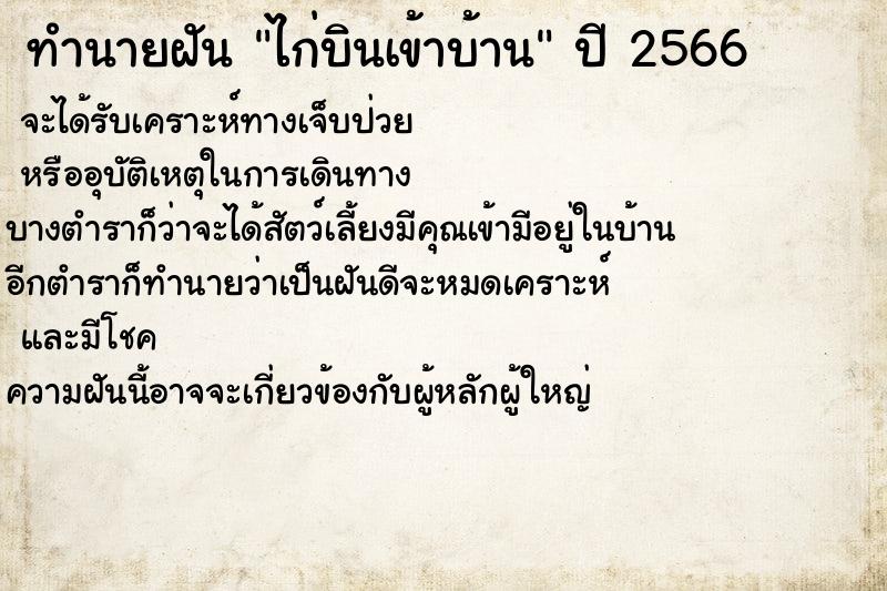 ทำนายฝัน ไก่บินเข้าบ้าน ทำนายฝัน ไก่บินเข้าบ้าน