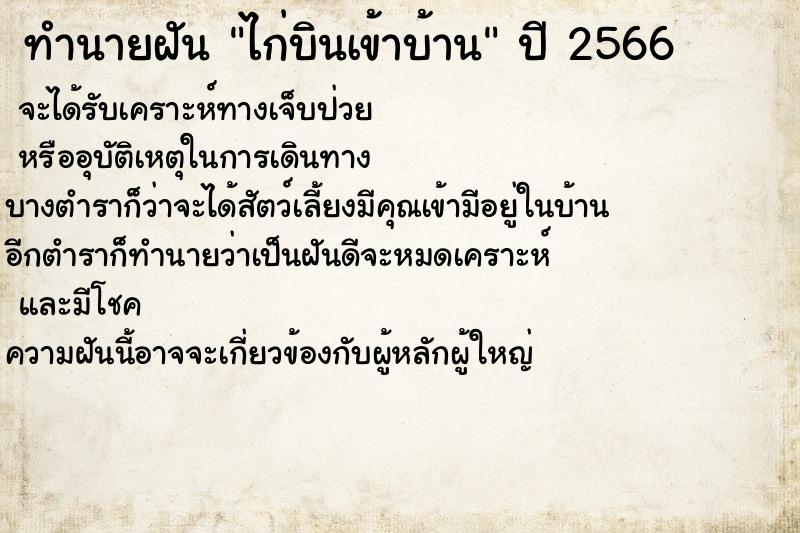 ทำนายฝัน ไก่บินเข้าบ้าน ตำราโบราณ แม่นที่สุดในโลก