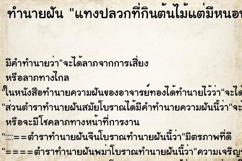 ทำนายฝันแทงปลวกที่กินต้นไม้แต่มีหนอนสีขาวไหลออกมาเยอะมาก ทำนายฝันทำนายฝันแทงปลวกที่กินต้นไม้แต่มีหนอนสีขาวไหลออกมาเยอะมาก