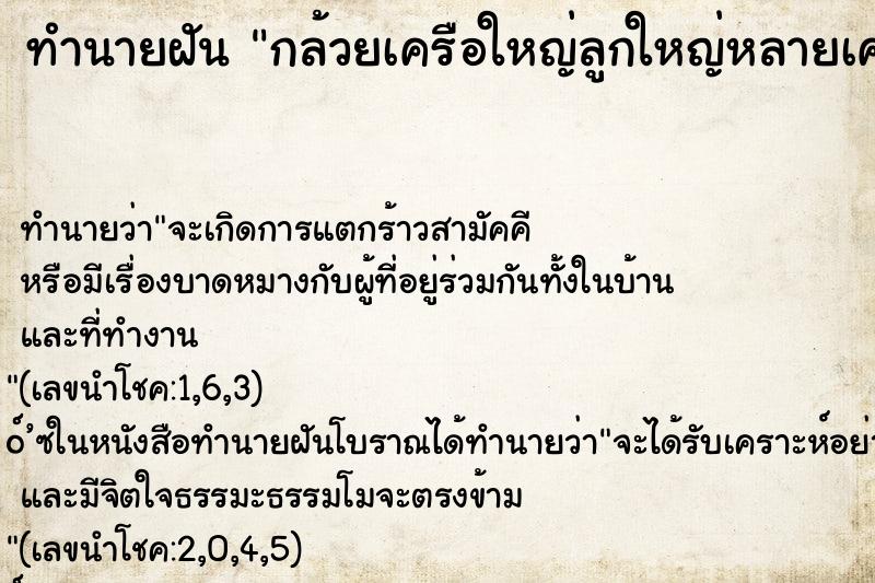 ทำนายฝัน กล้วยเครือใหญ่ลูกใหญ่หลายเครือ ทำนายฝัน กล้วยเครือใหญ่ลูกใหญ่หลายเครือ