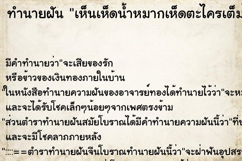 ทำนายฝัน เห็นเห็ดน้ำหมากเห็ดตะไครเต็มไปหมด ทำนายฝัน เห็นเห็ดน้ำหมากเห็ดตะไครเต็มไปหมด