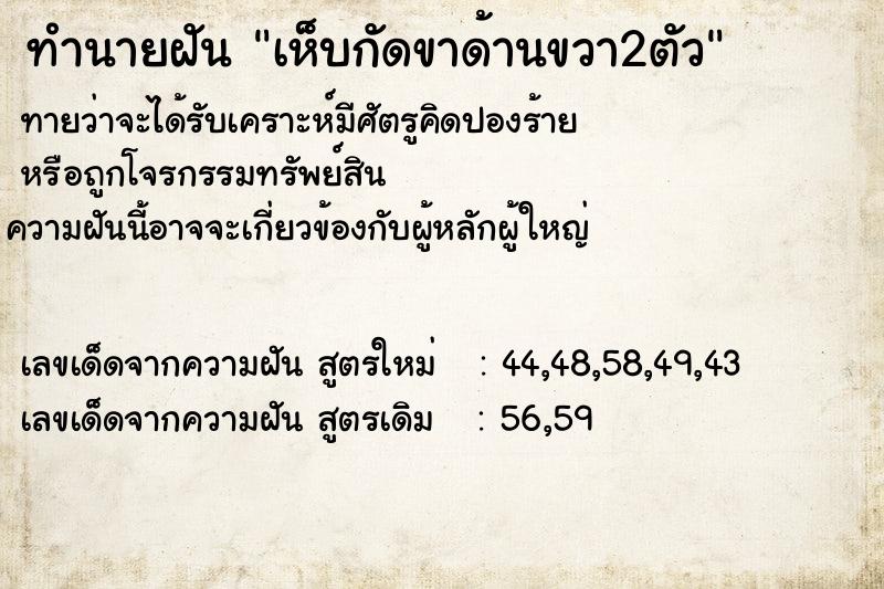 ทำนายฝันเห็บกัดขาด้านขวา2ตัว ทำนายฝันทำนายฝันเห็บกัดขาด้านขวา2ตัว