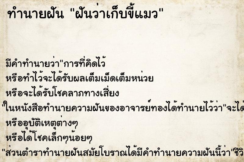 ทำนายฝัน ฝันว่าเก็บขี้แมว ทำนายฝัน ฝันว่าเก็บขี้แมว