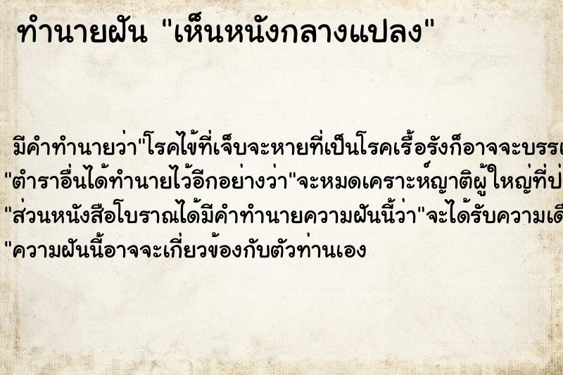 ทำนายฝันเห็นหนังกลางแปลง ทำนายฝันทำนายฝันเห็นหนังกลางแปลง
