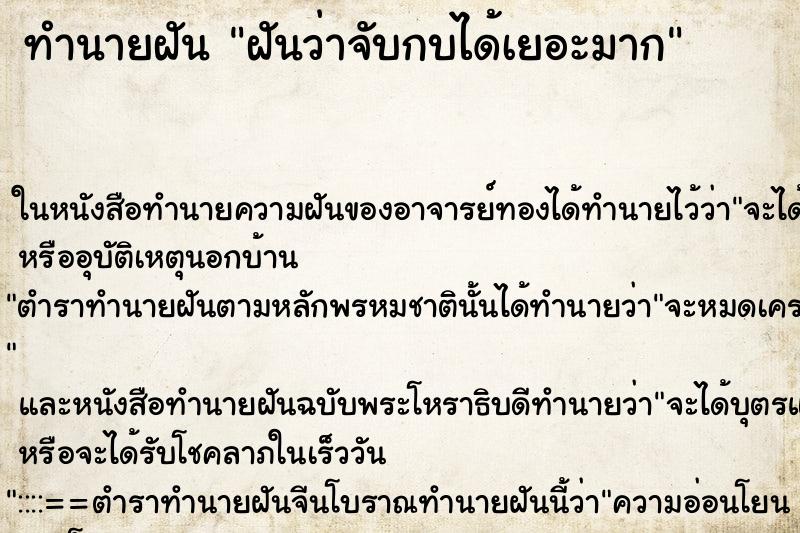 ทำนายฝัน ฝันว่าจับกบได้เยอะมาก ทำนายฝัน ฝันว่าจับกบได้เยอะมาก