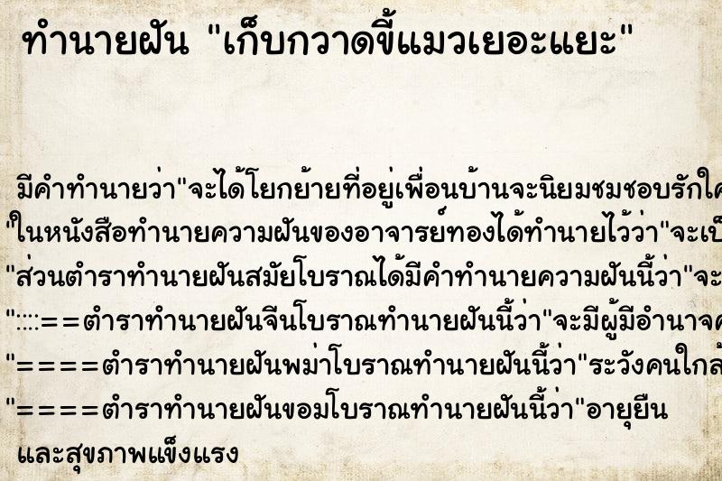 ทำนายฝัน เก็บกวาดขี้แมวเยอะแยะ ทำนายฝัน เก็บกวาดขี้แมวเยอะแยะ