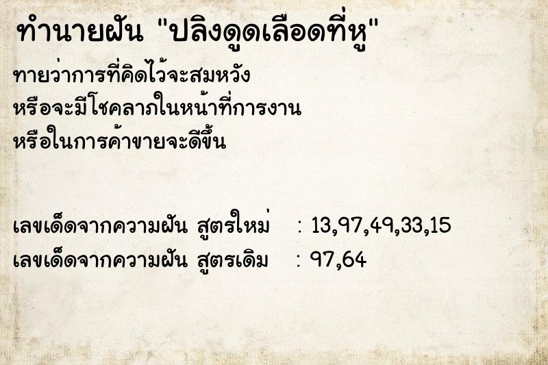 ทำนายฝัน ปลิงดูดเลือดที่หู ทำนายฝัน ปลิงดูดเลือดที่หู