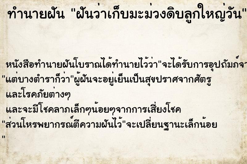 ทำนายฝันทำนายฝันฝันว่าเก็บมะม่วงดิบลูกใหญ่วัน