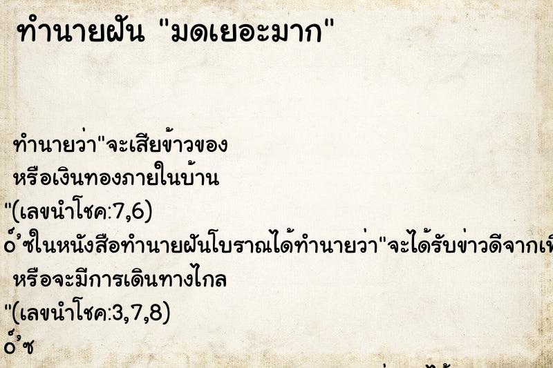 ทำนายฝัน มดเยอะมาก ทำนายฝัน มดเยอะมาก