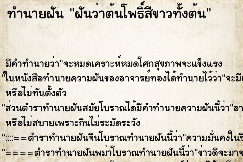 ทำนายฝัน ฝันว่าต้นโพธิ์สีขาวทั้งต้น ทำนายฝัน ฝันว่าต้นโพธิ์สีขาวทั้งต้น