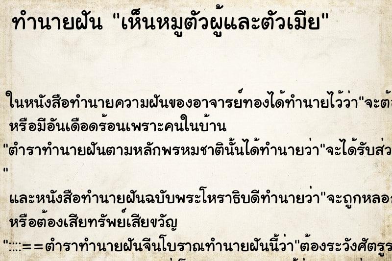 ทำนายฝันเห็นหมูตัวผู้และตัวเมีย ทำนายฝันทำนายฝันเห็นหมูตัวผู้และตัวเมีย