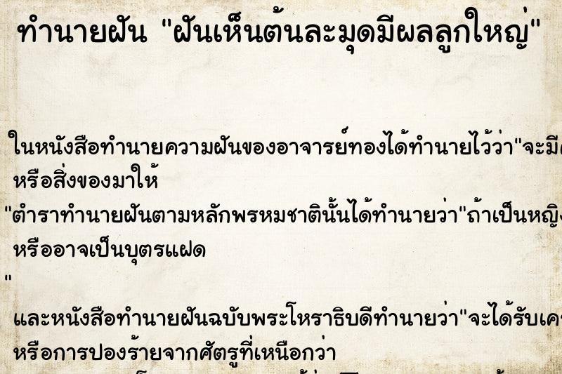 ทำนายฝันฝันเห็นต้นละมุดมีผลลูกใหญ่ ทำนายฝันทำนายฝันฝันเห็นต้นละมุดมีผลลูกใหญ่