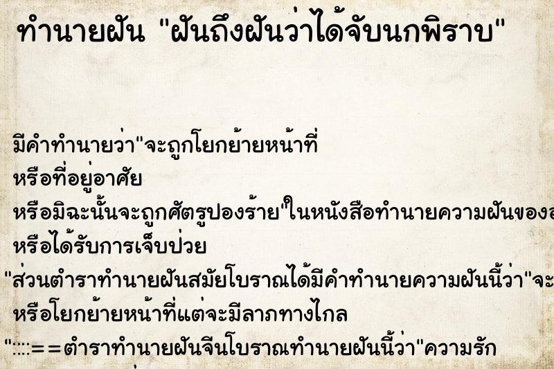 ทำนายฝันฝันถึงฝันว่าได้จับนกพิราบ ทำนายฝันทำนายฝันฝันถึงฝันว่าได้จับนกพิราบ