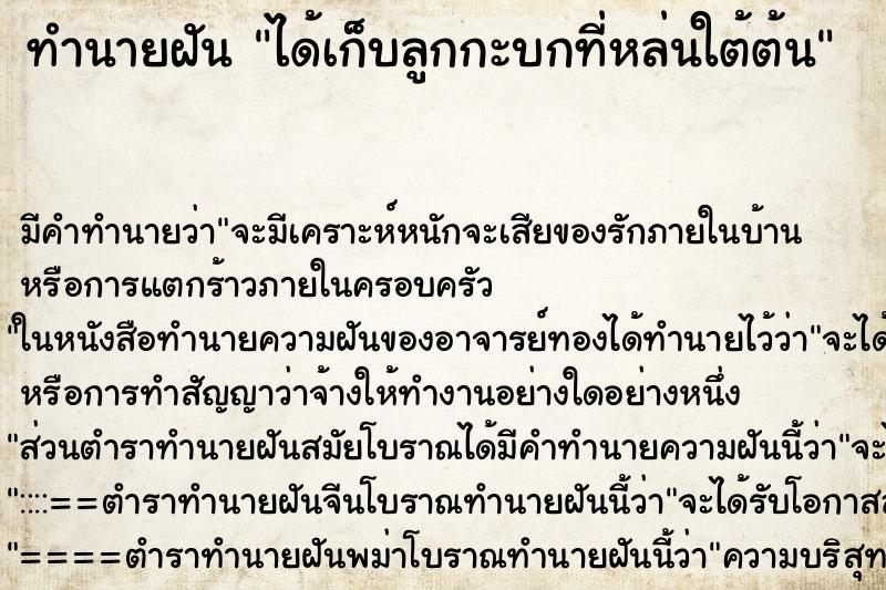ทำนายฝัน ได้เก็บลูกกะบกที่หล่นใต้ต้น ทำนายฝัน ได้เก็บลูกกะบกที่หล่นใต้ต้น