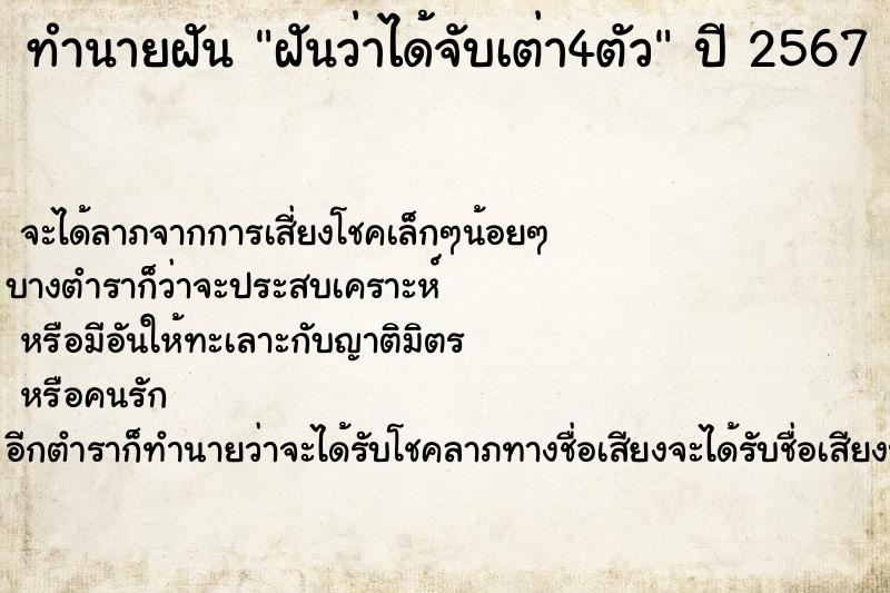 ทำนายฝันทำนายฝันฝันว่าได้จับเต่า4ตัว