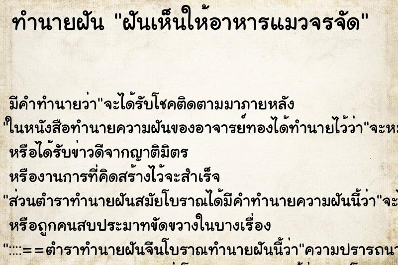 ทำนายฝัน ฝันเห็นให้อาหารแมวจรจัด ทำนายฝัน ฝันเห็นให้อาหารแมวจรจัด
