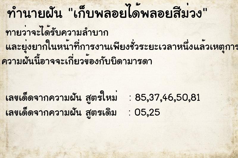 ทำนายฝันเก็บพลอยได้พลอยสีม่วง ทำนายฝันทำนายฝันเก็บพลอยได้พลอยสีม่วง