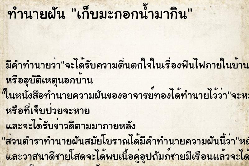 ทำนายฝัน เก็บมะกอกน้ำมากิน ทำนายฝัน เก็บมะกอกน้ำมากิน