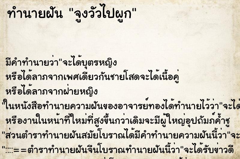 ทำนายฝันจูงวัวไปผูก ทำนายฝันทำนายฝันจูงวัวไปผูก