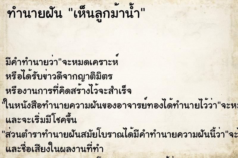 ทำนายฝัน เห็นลูกม้าน้ำ ทำนายฝัน เห็นลูกม้าน้ำ