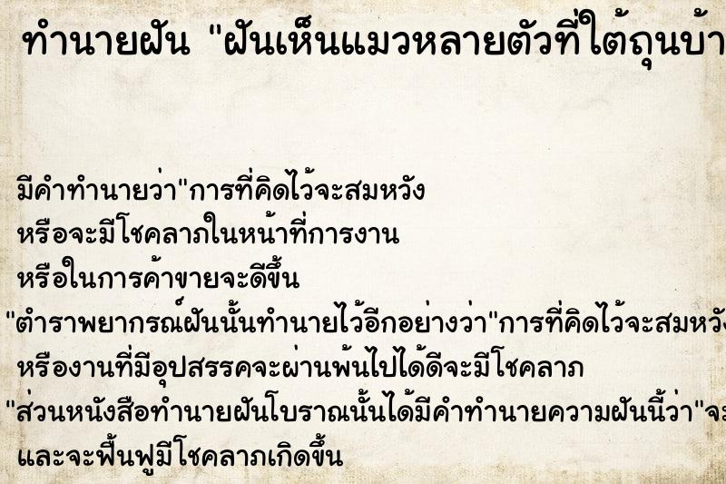 ทำนายฝันฝันเห็นแมวหลายตัวที่ใต้ถุนบ้าน ทำนายฝันทำนายฝันฝันเห็นแมวหลายตัวที่ใต้ถุนบ้าน