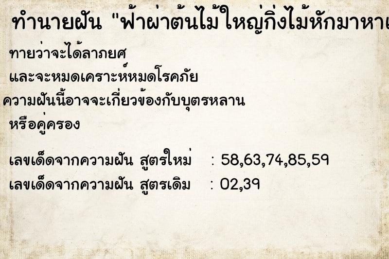 ทำนายฝันฟ้าผ่าต้นไม้ใหญ่กิ่งไม้หักมาหาเรา ทำนายฝันทำนายฝันฟ้าผ่าต้นไม้ใหญ่กิ่งไม้หักมาหาเรา
