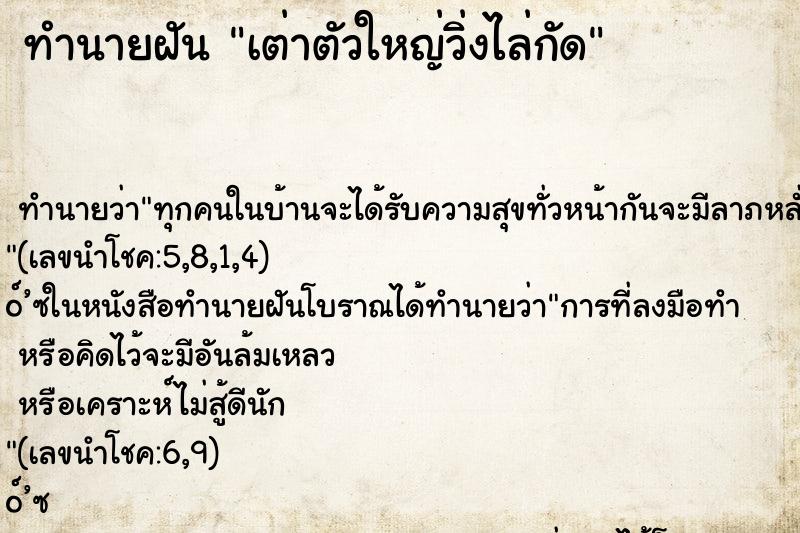 ทำนายฝัน เต่าตัวใหญ่วิ่งไล่กัด ทำนายฝัน เต่าตัวใหญ่วิ่งไล่กัด
