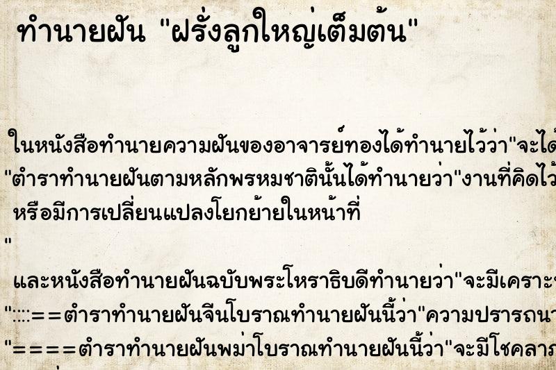ทำนายฝัน ฝรั่งลูกใหญ่เต็มต้น